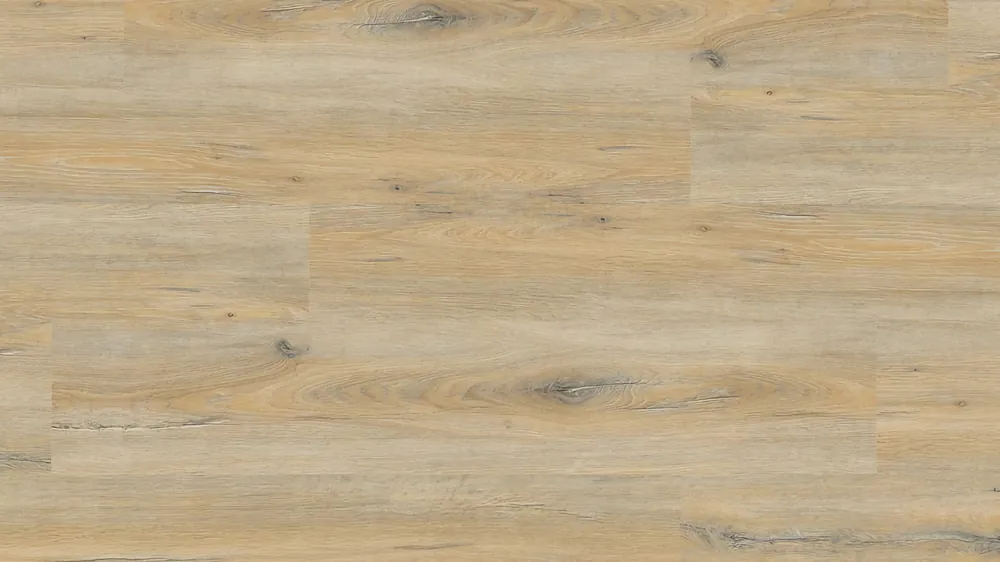 Project Floors floors@home PW 3910-/30 SYNC Neuheit