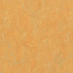 Kracherpreis Forbo Marmoleum Real | 3847 golden saffron