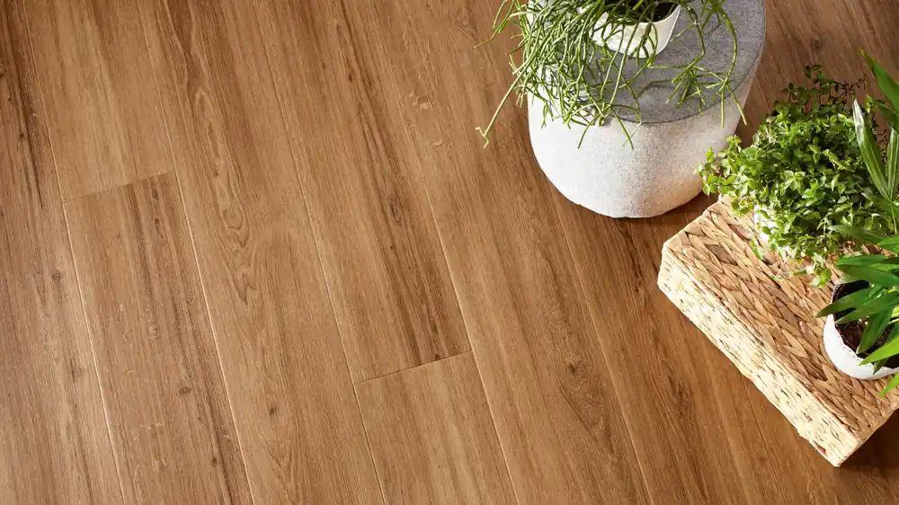 Direkt Vom Hersteller JOKA Sinero 734 | Incredible Classic Oak 7505