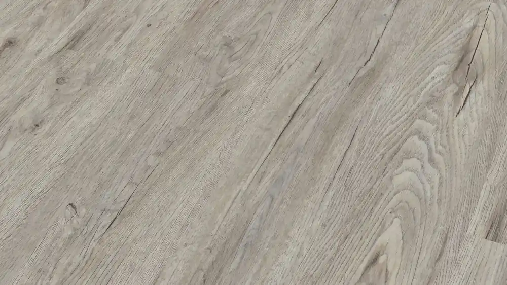 Abverkauf Modico El Torro/55 Pure | Basalteiche MOK303