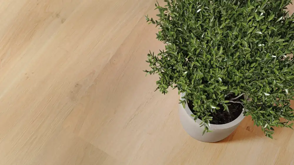 JOKA Design 340 Click | 880 Mellow Oak Abverkauf