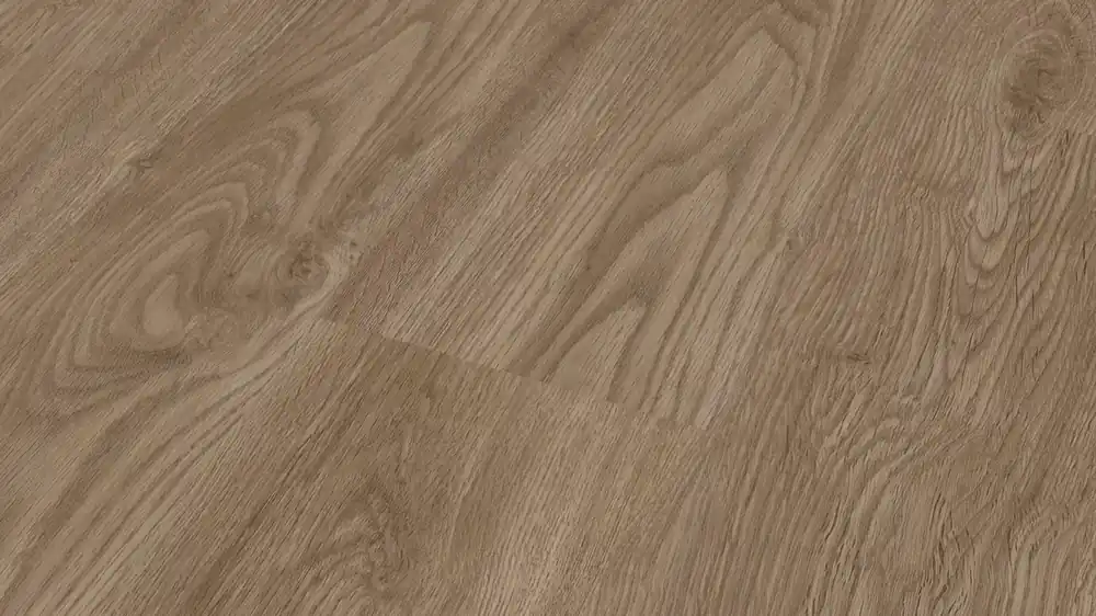 Modico El Torro/30 Pure | Terraeiche MFK315 Neu