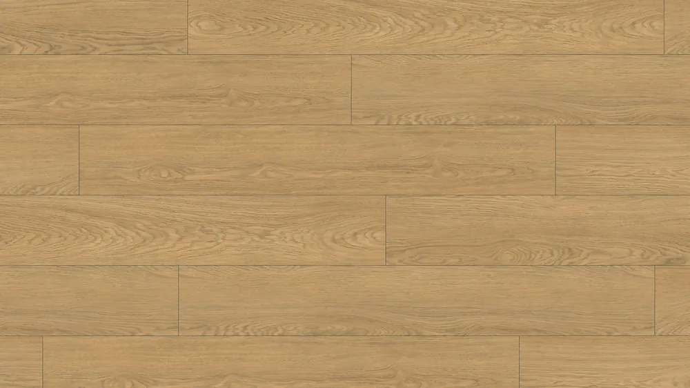 Highlight MEGA D128 Design 30 Klebevinyl | Component 0009