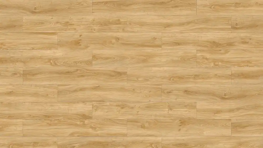 Finale Aktion MEGA D128 Design 30 Klebevinyl | Convent 0007