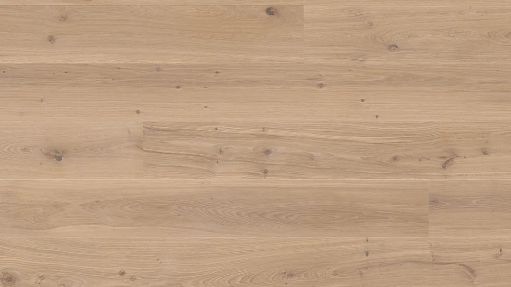 JOKA Calgary 527 181 LD | E3614 Eiche creme g. NATURE ÖL Echt
