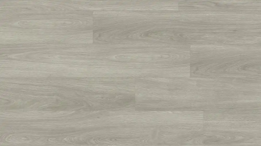 Preis Gesenkt Design 40+ Epic D228-0006 - Dryback