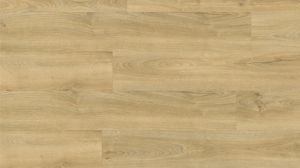 Must-Have Design 40+ Epic D228-0022 - Rigid Acoustic