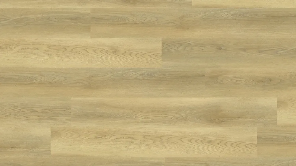 Letzte Chance JOKA Design 555 Dryback | 5540 Timeless Oak EIR