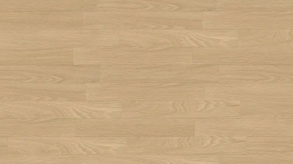 Creation 30 Dryback | Tamo Clear 1567 Zertifiziert