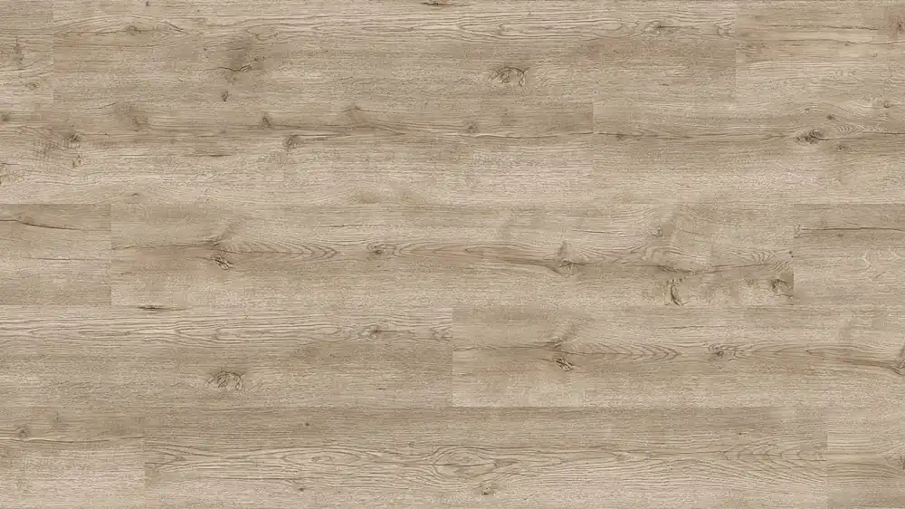 JOKA Design 555 Evolut | 909 Hazy Oak EIR - Click Sonderangebot