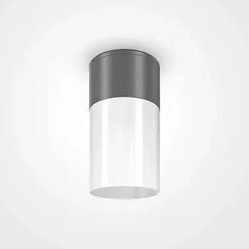 Deckenleuchte Graphit Aluminiumzylinder Weißer Diffusor 1× E27-Fassung – Willis | Maytoni Echt