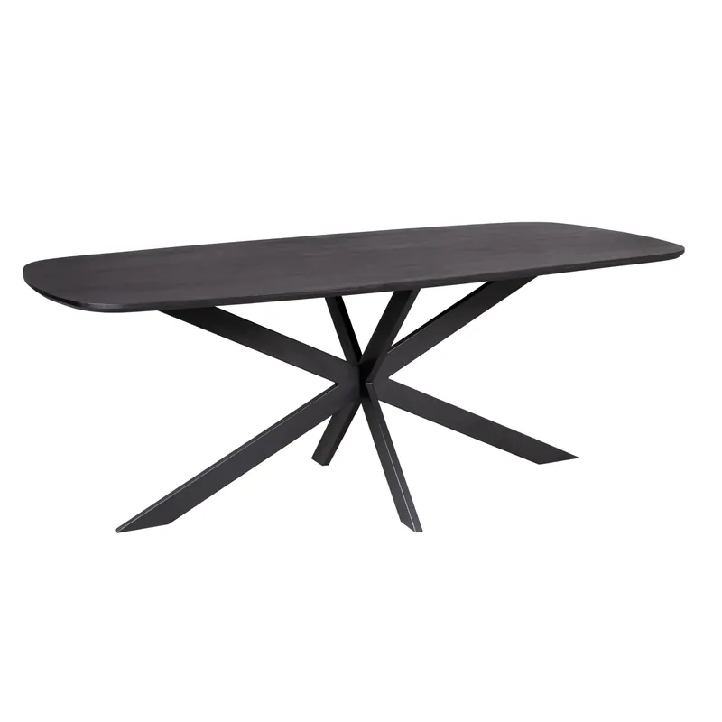 Schnäppchen Esszimmertisch - Mangoholz, Schwarzes Finish, Metall Matrixfuß, Ovale Form – Elegance | Starfurn