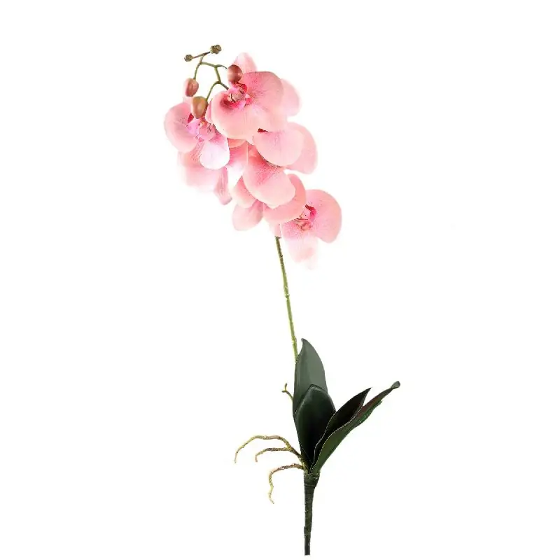 Sofort Bestellen Orchideenblume - Hellrosa Phalaenopsis Spray, Polyester, Coating-Beschichtung | PTMD