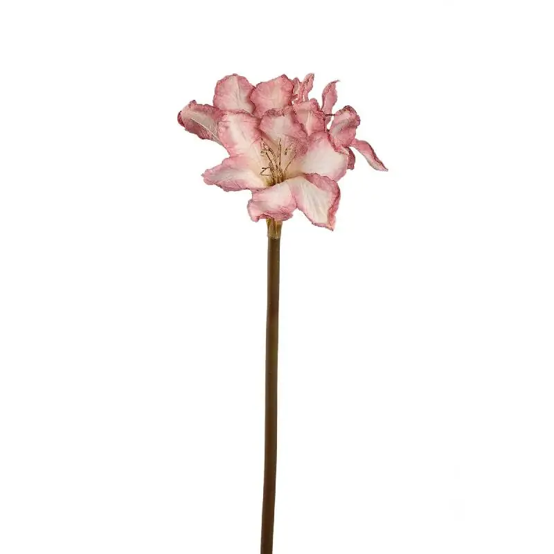 Amaryllisblume - Hellrosa Amaryllis-Stiel, Metall, Kunststoff, Leinwand | PTMD Preiswert