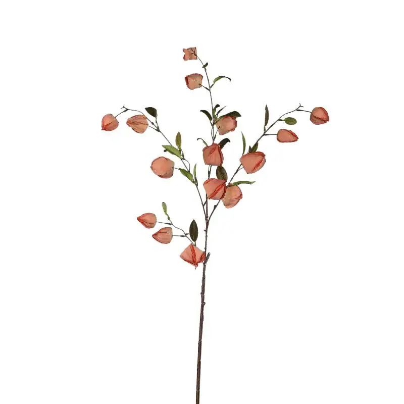 Sofort Bestellen Gartenblume - Orange Chinesische Laterne Spray, Metall, Kunststoff, leinwand| PTMD