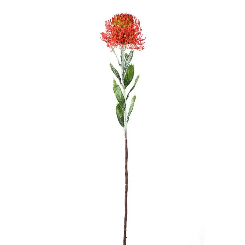 Sonderangebot Zweigpflanze – Roter Protea-Zweig mit Blättern aus Polyester | PTMD