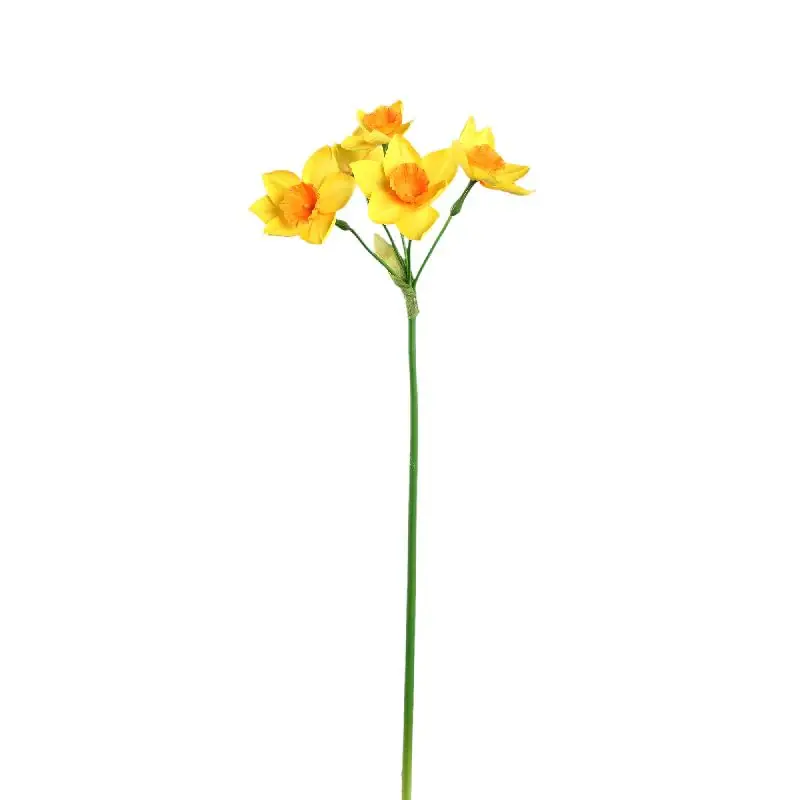 Gartenblume – Gelbe Narzisse Spray, Polyestergewebe | PTMD Aktuell
