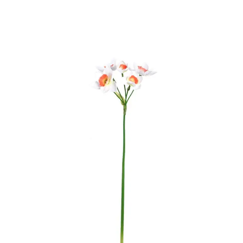 Gartenblume – Weiße Narzisse Spray, Polyestergewebe | PTMD Begrenztes Angebot