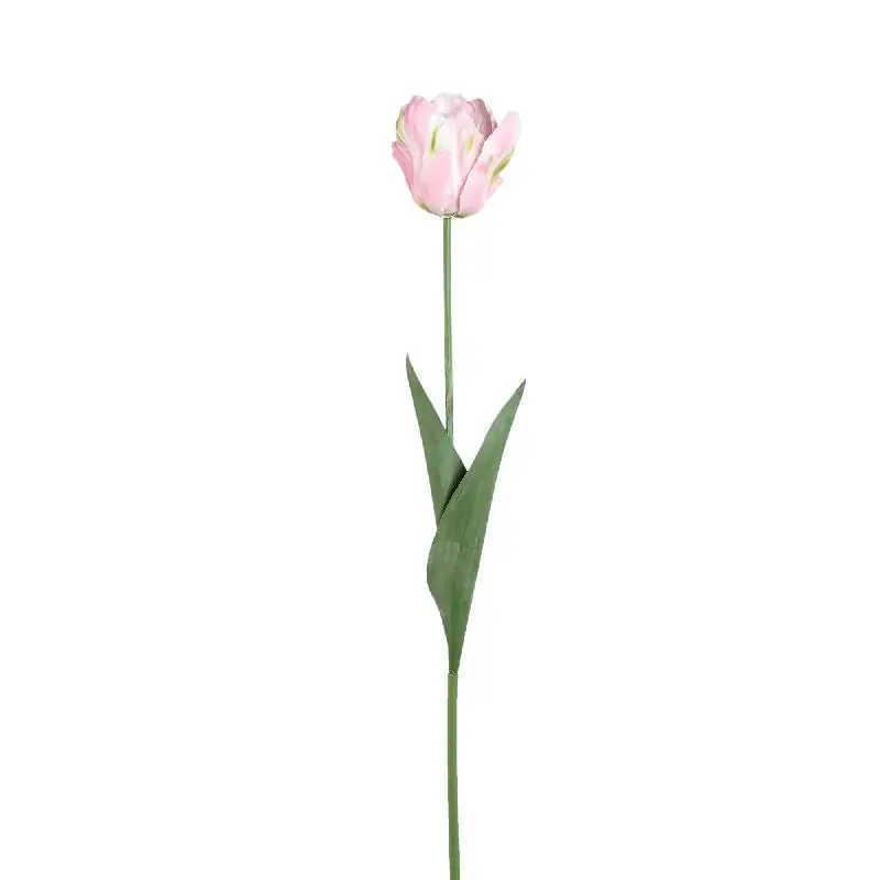 Tulpeblume - Rosa Papageien-Tulpe mit Blättern, Kunststoff, Halbhändig gefertigt | PTMD Sonderaktion
