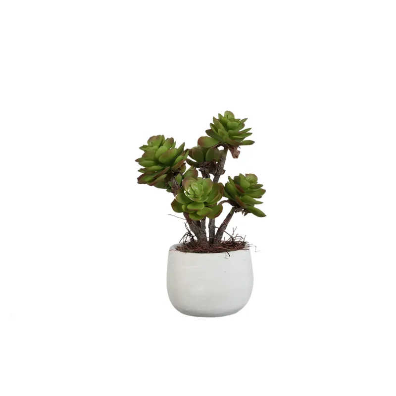 Neu Im Sortiment Kunstpflanze - Dunkelgrüne Aeonium, Zementtopf, Kunststoff – M | PTMD