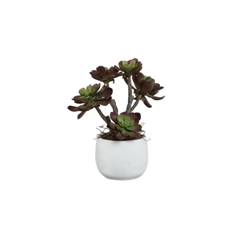 Kunstpflanze - Braune Aeonium, Zementtopf, Kunststoff – M | PTMD Bestpreis