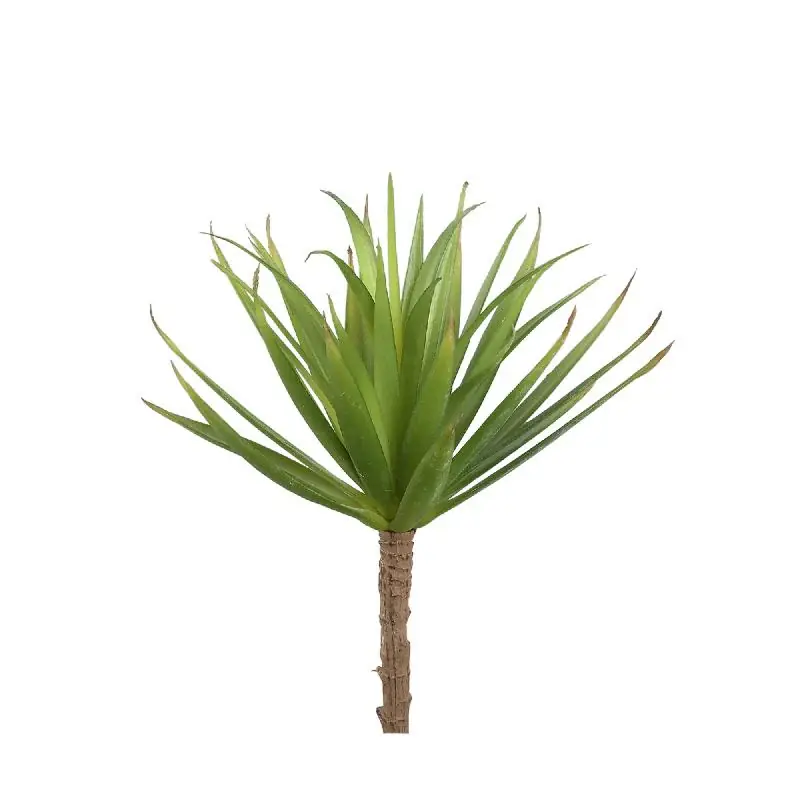 Günstig Kunstpflanze - Grüne Yucca Pick, Kunststoff, Halbhändig gefertigt | PTMD
