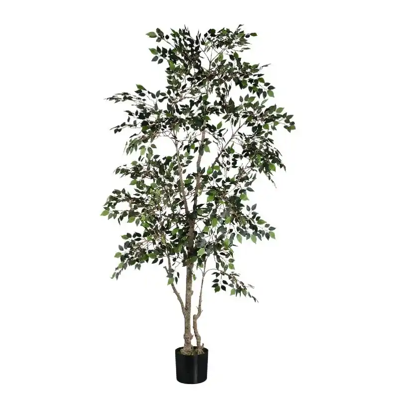 Neue Ware Baumgrün mit Ficus Microcarpa, im Kunststofftopf und aus Kunststoff und Polyester, L | PTMD