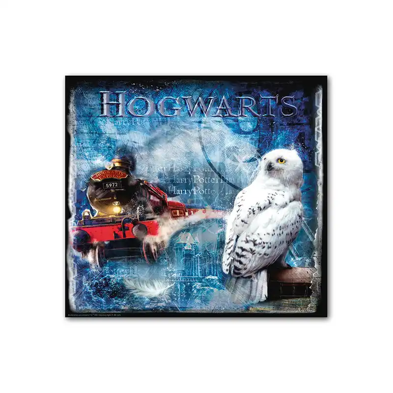 Wandbild – Holzrahmen Design, Leinwand Struktur, Eulen Motiv - Hogwarts Hedwig | Gilde Neuheit