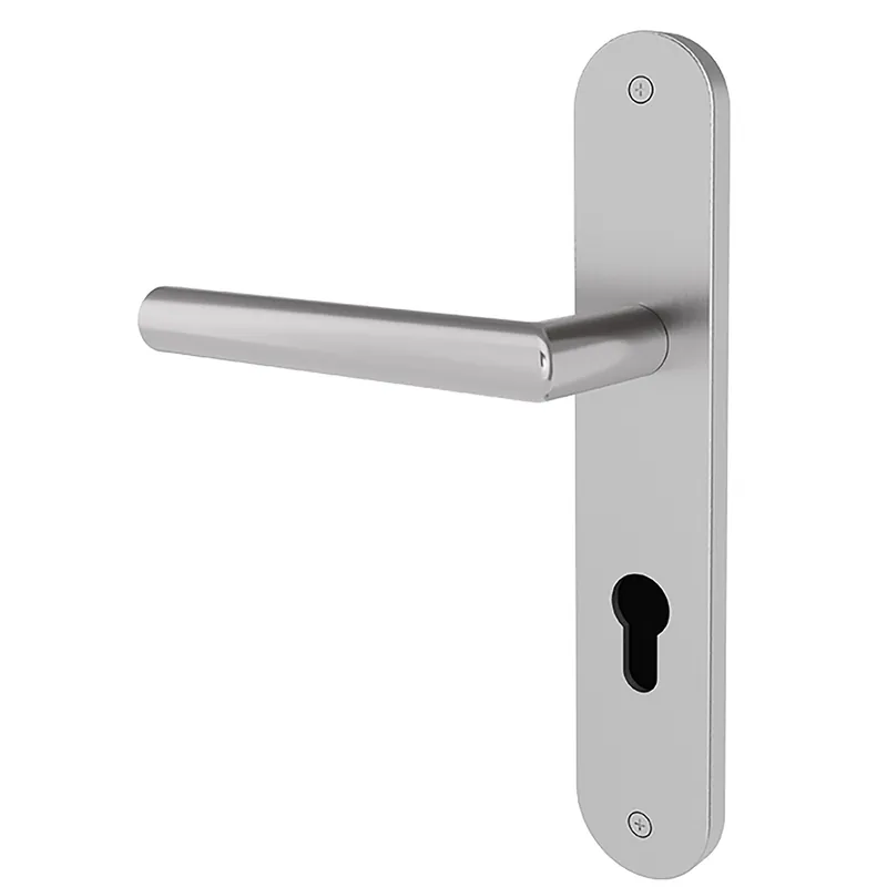 Türgriff Eleganto 2LR Edelstahl Top-Preis