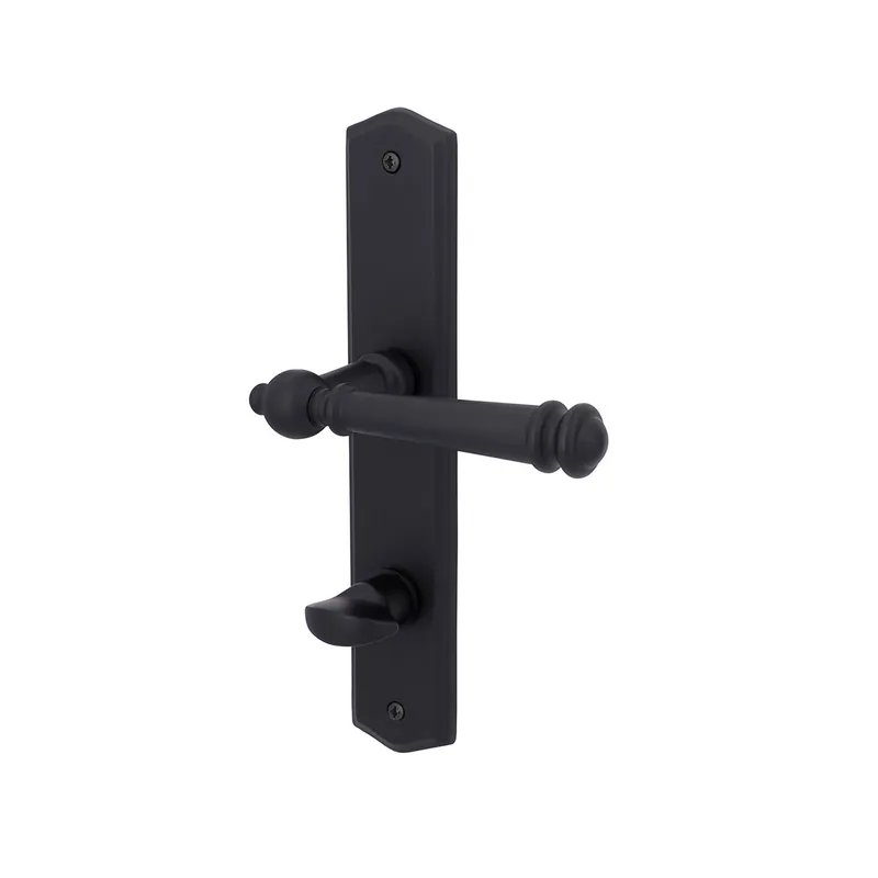 Bestpreis Türgriff Eleganto 591LR Schwarz matt