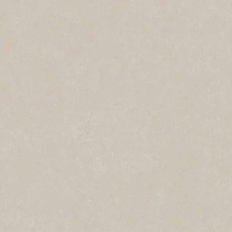 A.S. Creation | Styleguide Design 2024 | 385948 | Vliestapete | Einfarbig | 10.05 x 0.53 m | Grau Beliebt