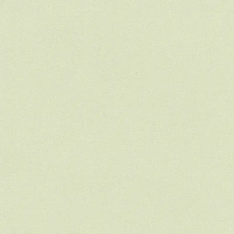 Rasch | Wall Textures V | 447538 | Vliestapete | Uni | 10.05 x 0.53 m | Grün Echt