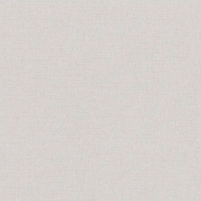 Vliestapete 399888 Grau Beige Uni Einfarbig Michalsky 6 A.S. Creation Echt