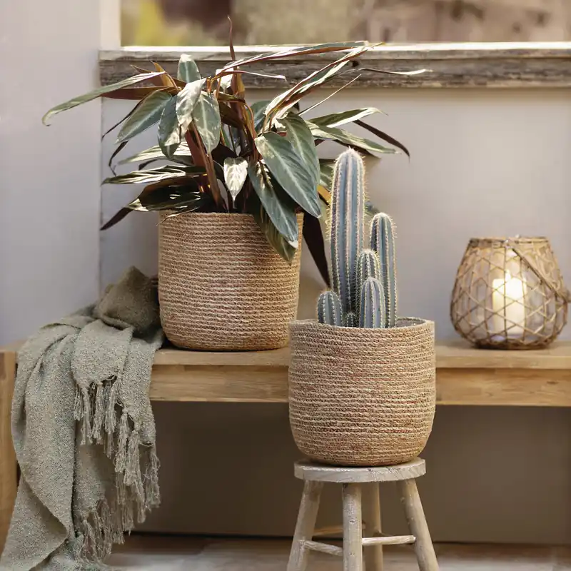 Top-Preis Pflanzkorb "Terra", 2er Set