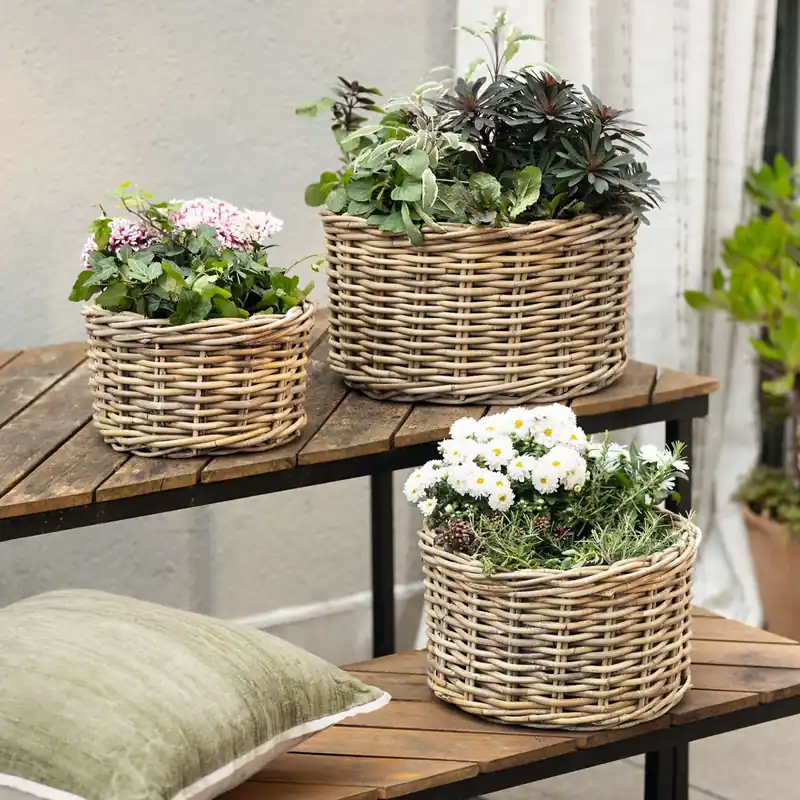 Angebot Pflanzkorb "Rattan", 3er Set