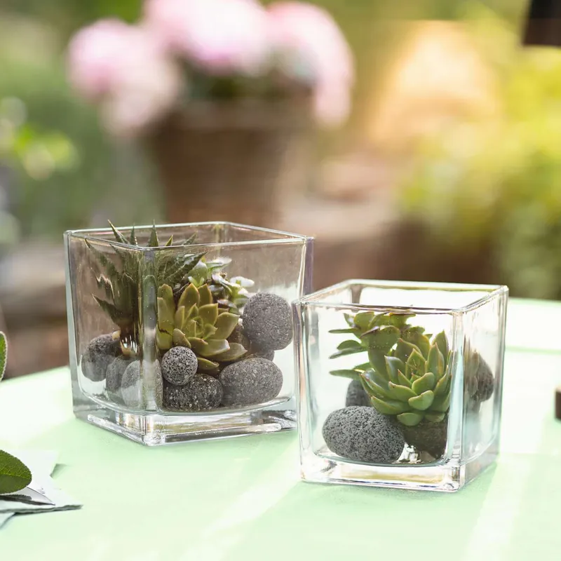 Dekoglas "Quadrat", 2er Set Echt