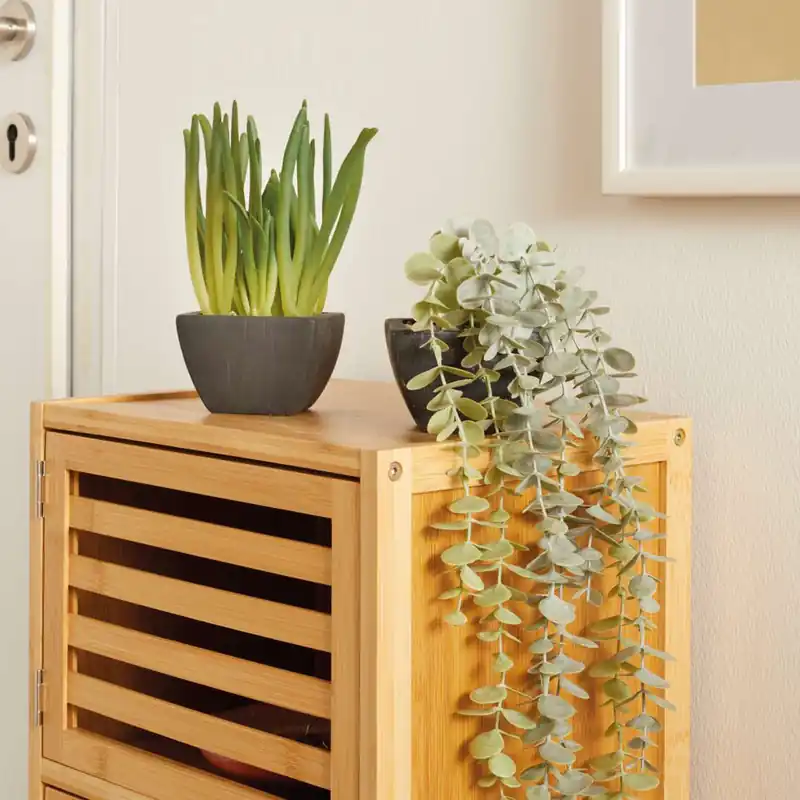 Top-Seller Kunstpflanze "Zimmergrün", 2er Set