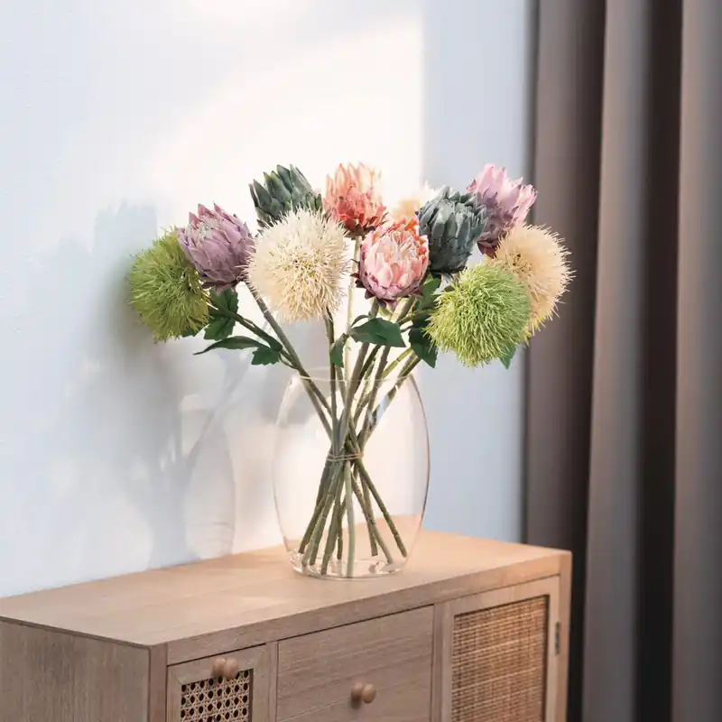 Pflanze "Kugelblume", 2er Set Kracherpreis