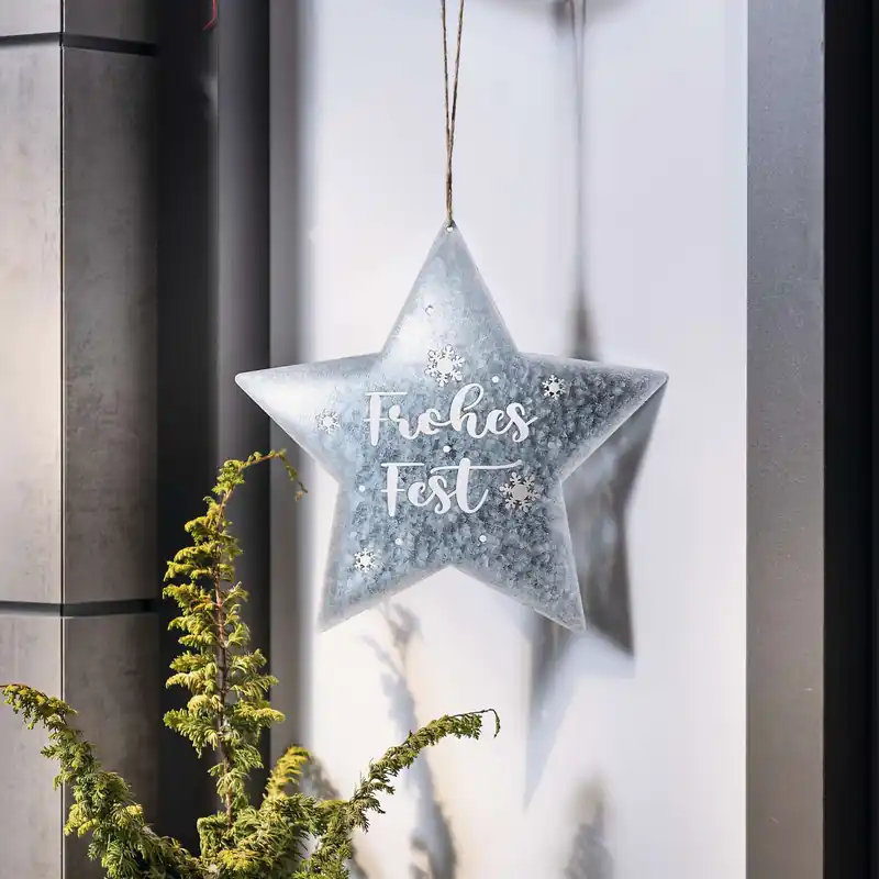 Neue Ware Sternhänger "Frohes Fest"