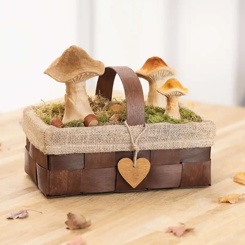 Direkt Vom Hersteller Pilz "Natural", 3er Set