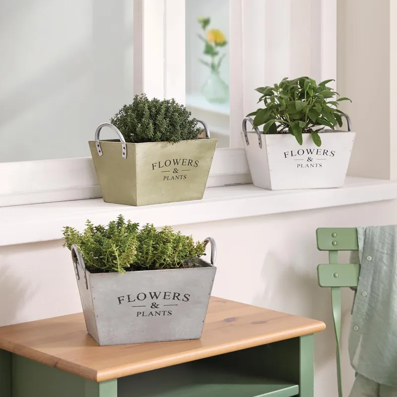 Kracherpreis Pflanzer "Flowers & Plants", 3er Set