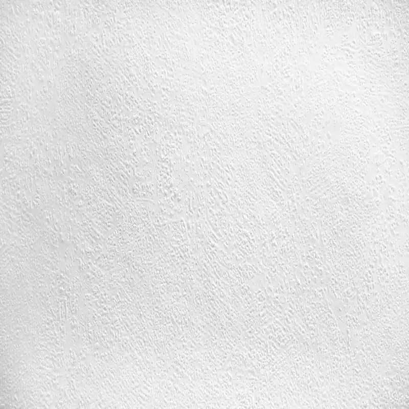 A.S. Creation | Meistervlies | 316011 | Vliestapete Überstreichbar | Putz | 0.53 x 10.05 m | Weiß Markenprodukt