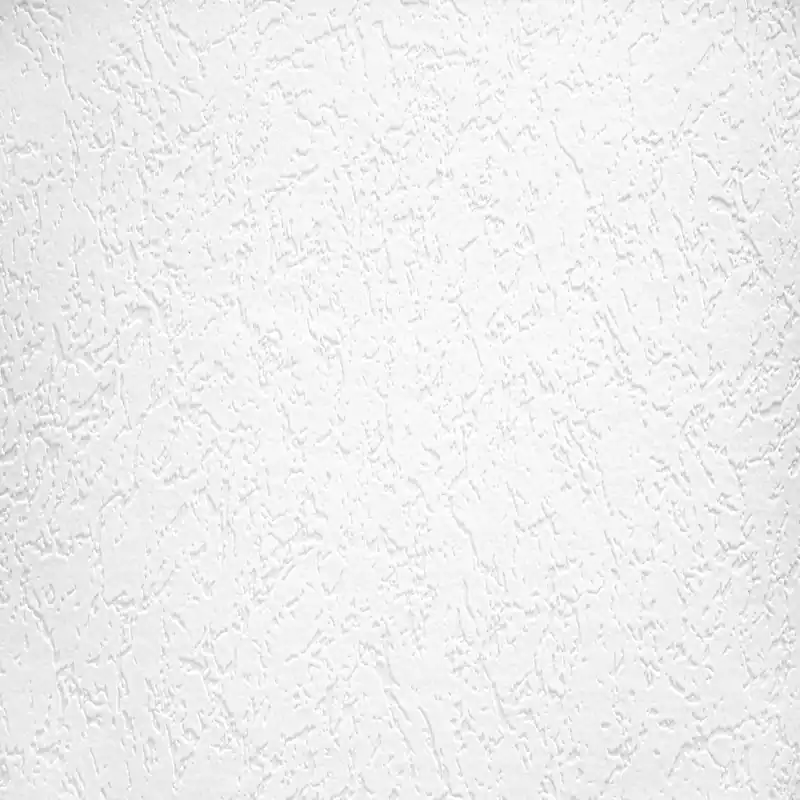 Top-Seller A.S. Creation | Meistervlies | 927910 | Vliestapete Überstreichbar | Putz | 1.06 x 25 m | Weiß