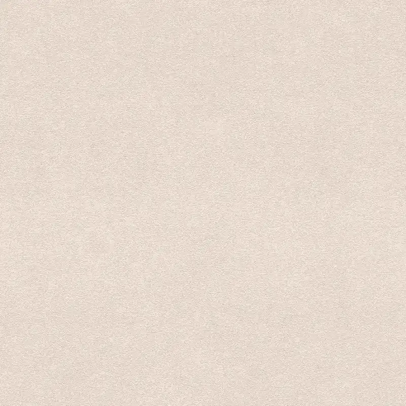 Solange Der Vorrat Reicht Rasch | Selection | 467147 | Vliestapete | Einfarbig | Uni | 0.53 x 10.05 m | Beige