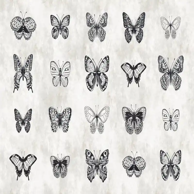 Must-Have A.S. Creation | Walls by Patel 1 | DD110361 | Fototapete | Vlies | Versch. Größen | Tiere
