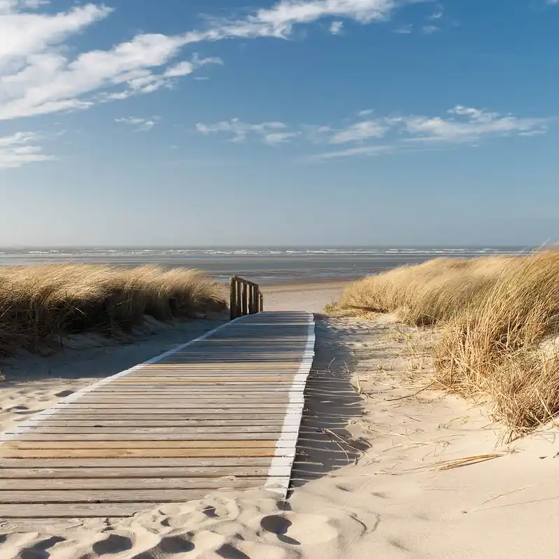 Nur Heute A.S. Creation | Designwalls 2.0 | DD119127 | Fototapete | Vlies | 192 x 260 cm | Strand & Meer