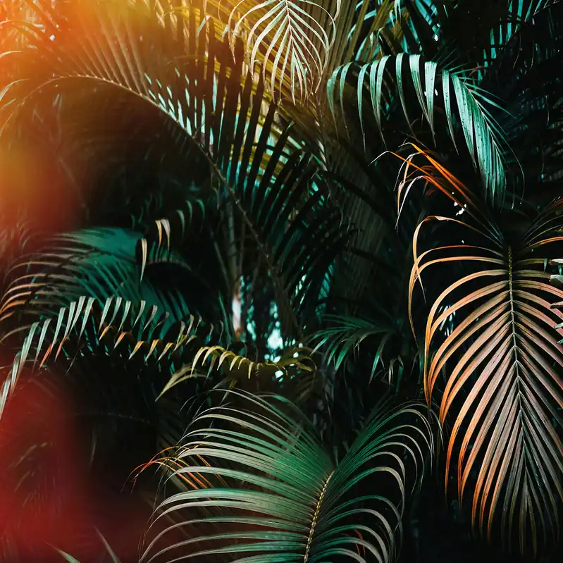 Nur Für Kurze Zeit A.S. Creation | Designwalls | DD118795 | Fototapete | Vlies | 350 x 255 cm | Wald & Pflanzen | Bunt