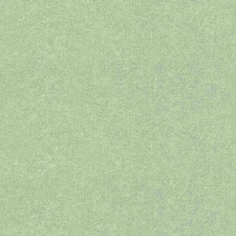 Neue Kollektion Rasch | Composition | 554472 | Vliestapete | Einfarbig | Uni | 0.53 x 10.05 m | Grün