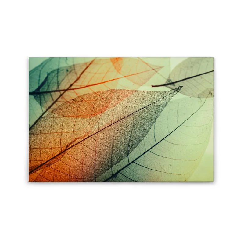 Preisreduziert Tadessi Leinwandbild Natur - 60 x 90 cm - M1-No.50023 - Keilrahmen in Grün Orange