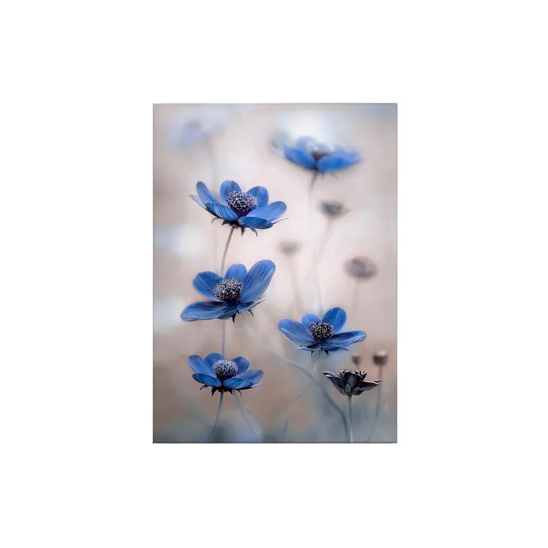Aktuell Tadessi Leinwandbild Natur - 70 x 50 cm - M1-No.50359 - Keilrahmen in Blau Weiß